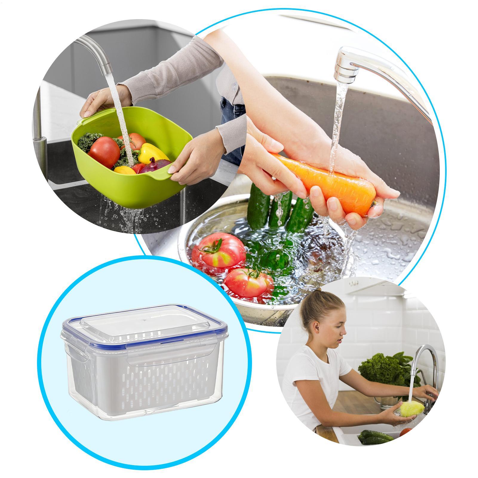 Wadah Penyimpanan Makanan 4 in - Food Storage Plastic ulasan dan harga